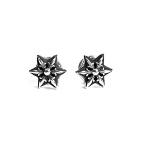 Ausgeschnittener Star-Ohrring