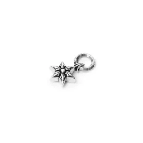 Star-Anhänger Star-Anhänger